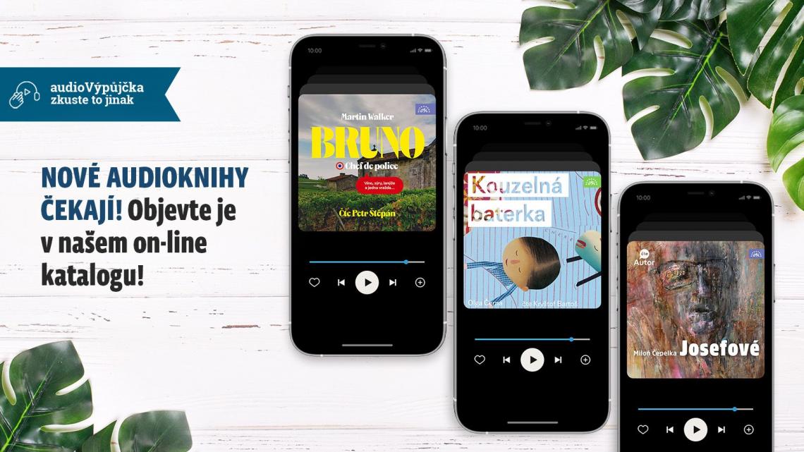 obrázek bez popisu